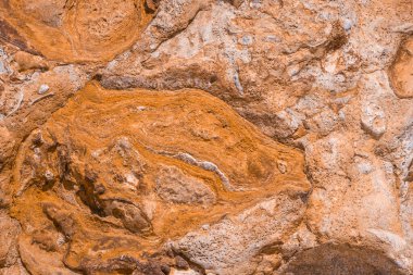 Hive Beach 'teki uçurum dokusu, Burton Bradstock, Bridport, Do