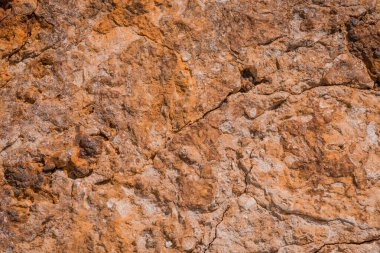 Hive Beach 'teki uçurum dokusu, Burton Bradstock, Bridport, Do