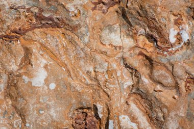 Hive Beach 'teki uçurum dokusu, Burton Bradstock, Bridport, Do