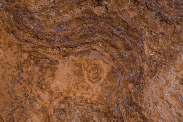 Texture Cliffs Hive Beach Burton Bradstock Bridport — Stock Photo, Image