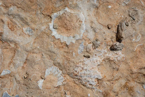 Hive Beach Teki Uçurum Dokusu Burton Bradstock Bridport — Stok fotoğraf