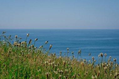 Atlantik Okyanusu dalgaları İngiltere 'de bir plaja akın ediyor.