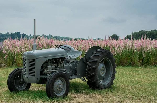 Трактор Полі Квітки — стокове фото