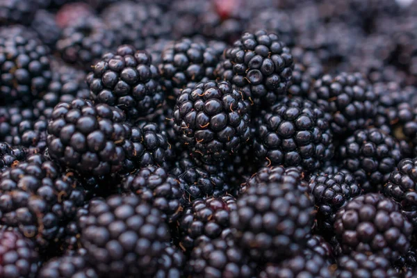 Blackberry Gyümölcs Vértes Háttér Vízszintes — Stock Fotó