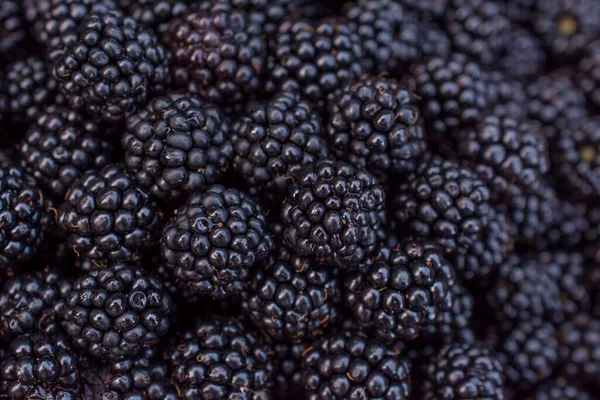 Blackberry Fruta Primer Plano Fondo Horizontal — Foto de Stock