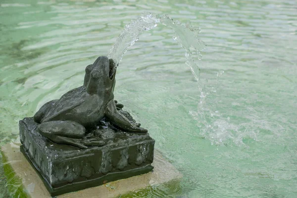 Fuente Rana Piedra Jardín —  Fotos de Stock