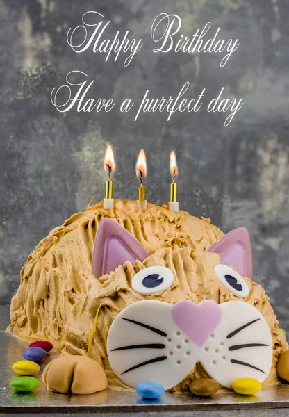 Chat Drole Avec Nœud Papillon Et Gateau D Anniversaire Dessert Colore Stock Photo Chat Drole Avec Nœud Papillon Et Gateau D Anniversaire Dessert Colore Stock Photo