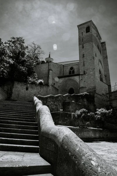 Siyah Beyaz Fotoğrafta San Pedro Nın Romanesk Kilisesini Görebilirsiniz Kilise — Stok fotoğraf