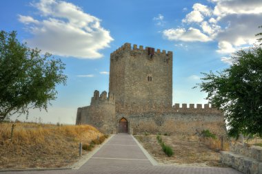 Tiedra Castle. Valladolid. Spain. clipart
