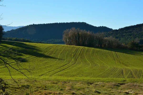 Pole. Carcamo. Alava. Španělsko. — Stock fotografie