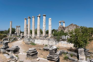 Roma yapısı, Afrodit Tapınağı antik Aphrodisias şehrinde