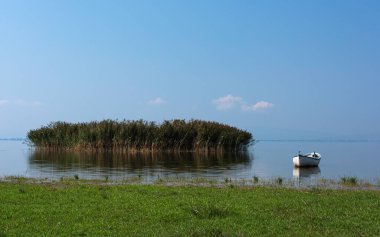 Açık bir günde göl kıyısından bir manzara, göldeki sazlıklar ve eski bir tekne..