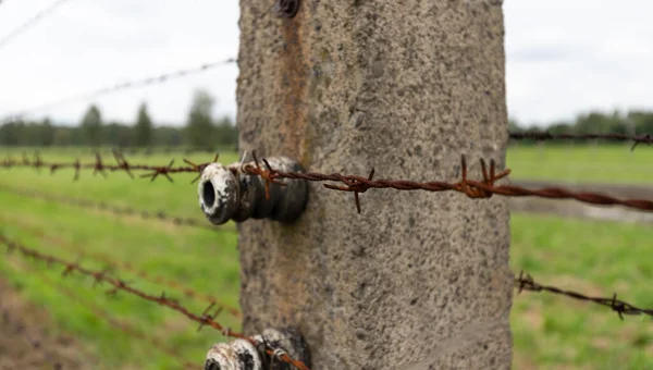 Auschwitz Polonia Septiembre 2021 Alambre Púas Que Rodea Campo Concentración —  Fotos de Stock