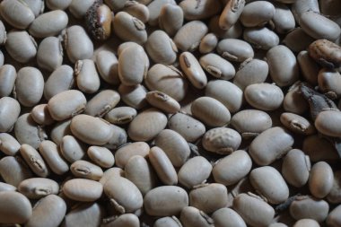 Elle tutulan kadife fasulye tohumu. Endonezya 'nın kadife fasulyeli Benguk' u ve bazen de tempo olarak kullanır.