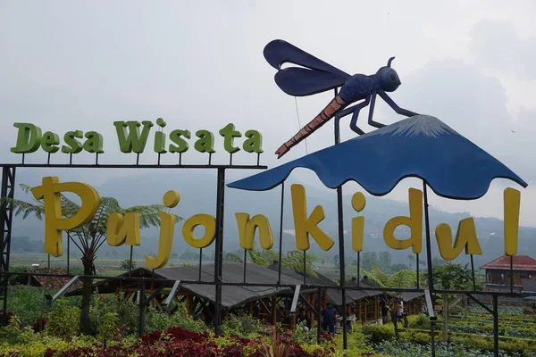 Přírodní Turistika Cafe Sawah Pujon Kidul Malangu Cafe Sawah Přírodní — Stock fotografie