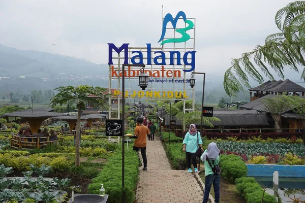 Turystyka Naturalna Cafe Sawah Pujon Kidul Malang Cafe Sawah Naturalna — Zdjęcie stockowe