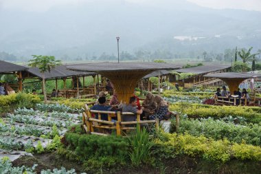 Malang 'daki Sawah Pujon Kidul Kafe' nin doğal turizmi. Cafe Sawah doğal turizm.
