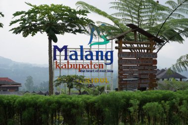 Malang 'daki Sawah Pujon Kidul Kafe' nin doğal turizmi. Cafe Sawah doğal turizm.