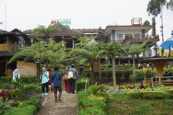 马良市Sawah Pujon Kidul咖啡馆的自然旅游 Sawah咖啡馆是一种自然旅游 — 图库照片