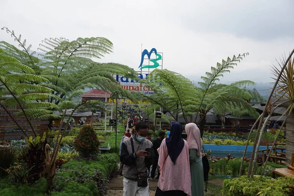 Naturturismen Cafe Sawah Pujon Kidul Malang Café Sawah Naturturism — Stockfoto