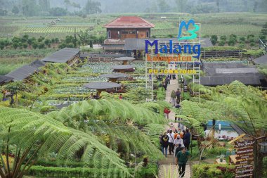Malang 'daki Sawah Pujon Kidul Kafe' nin doğal turizmi. Cafe Sawah doğal turizm.