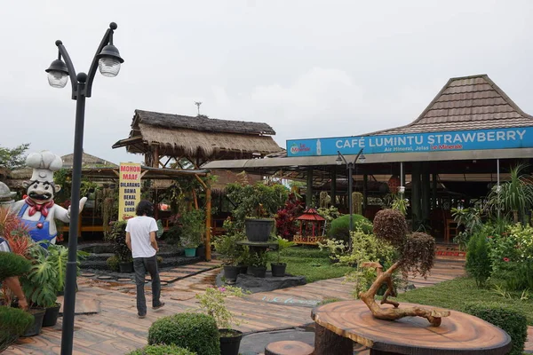 Természetes Turizmus Cafe Sawah Pujon Kidul Malang Cafe Sawah Természeti — Stock Fotó