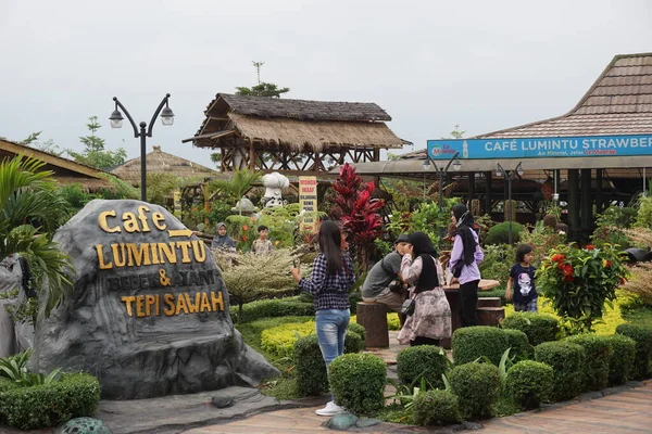 Přírodní Turistika Cafe Sawah Pujon Kidul Malangu Cafe Sawah Přírodní — Stock fotografie