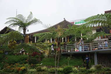 Malang 'daki Sawah Pujon Kidul Kafe' nin doğal turizmi. Cafe Sawah doğal turizm.