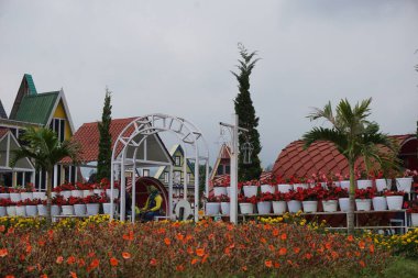 Flora San Terra Malang Şehri, Doğu Java, Endonezya