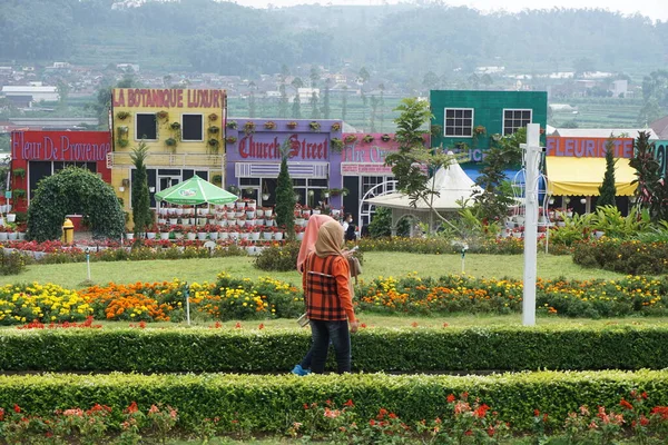 Boa Vista Flora San Terra Malang City East Java Indonésia — Fotografia de Stock