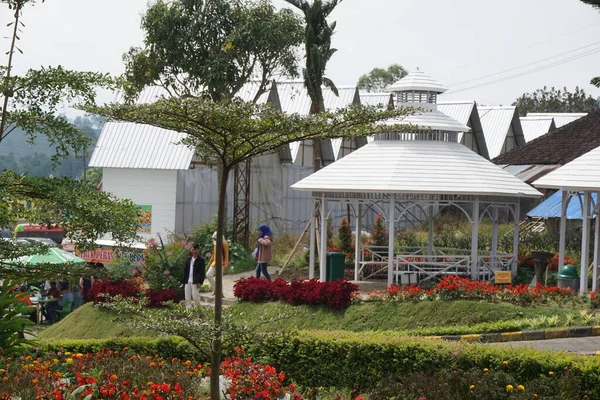 Flora San Terra Malang Şehri Doğu Java Endonezya — Stok fotoğraf