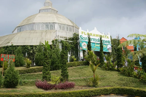 Boa Vista Flora San Terra Malang City East Java Indonésia — Fotografia de Stock