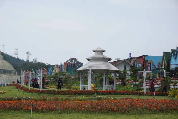 Boa Vista Flora San Terra Malang City East Java Indonésia — Fotografia de Stock