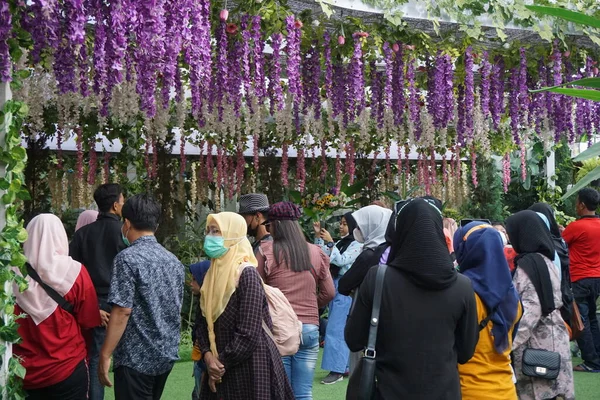 Flora San Terra Malang Şehri, Doğu Java, Endonezya