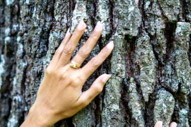 Ağaca dokunmak. Banyo ormanı (Shinrin-yoku veya mandi hutan) stresi, kan basıncını azaltmak, ruh halini ve konsantrasyonu iyileştirmek için.