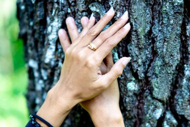 Ağaca dokunmak. Banyo ormanı (Shinrin-yoku veya mandi hutan) stresi, kan basıncını azaltmak, ruh halini ve konsantrasyonu iyileştirmek için.
