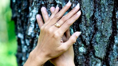 Ağaca dokunmak. Banyo ormanı (Shinrin-yoku veya mandi hutan) stresi, kan basıncını azaltmak, ruh halini ve konsantrasyonu iyileştirmek için.
