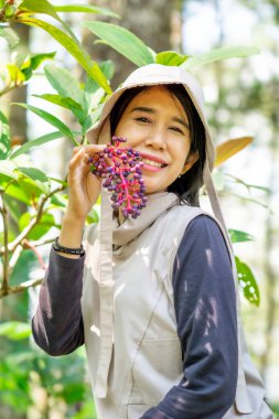 Asyalı kadın çiftçiler Parijoto meyve bahçesindedir (Medinilla speciosa, Showy medinilla, Pembe fener, Gül üzümü). Antioksidan ve beta-karoten içeriyor ve hamilelik verimliliğini arttırıyor..