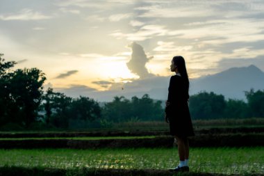 Öğleden sonra pirinç tarlasında yalnız Asyalı bir kadın. Yalnız bir kadın. İçine kapanık kadın. Dünya Dönüşüm Günü.