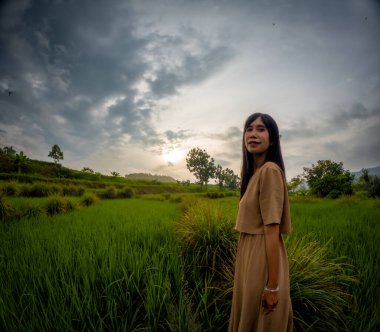 Asyalı kadın köyde tek başına seyahat ediyor. Yeşil pirinç tarlalarının tadını çıkarıyorum..