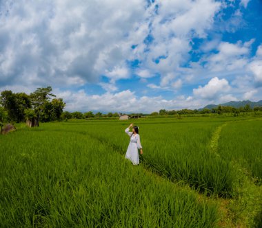 Asyalı bir kadın pirinç tarlasında köy tatilinin tadını çıkarıyor. Solo Seyahat.