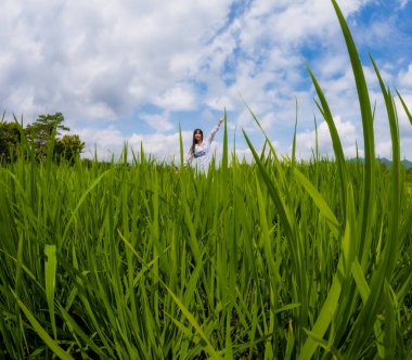 Asyalı bir kadın pirinç tarlasında köy tatilinin tadını çıkarıyor. Solo Seyahat.