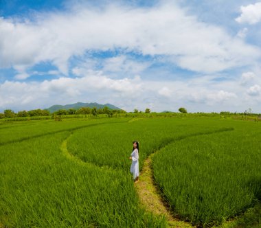 Asyalı kadın tatilin tadını çıkarıyor köyde, pirinç tarlasında çeltik tarlası ve mavi gökyüzü manzaralı.