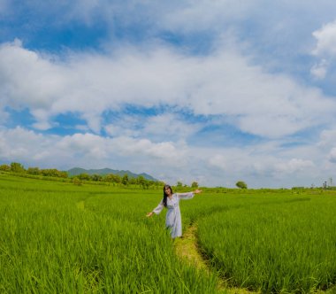 Asyalı kadın tatilin tadını çıkarıyor köyde, pirinç tarlasında çeltik tarlası ve mavi gökyüzü manzaralı.