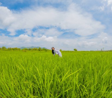 Asyalı kadın tatilin tadını çıkarıyor köyde, pirinç tarlasında çeltik tarlası ve mavi gökyüzü manzaralı.