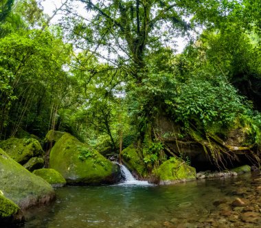 Nehirde temiz su akar, ormanın ortasında, etrafında güzel kayalar vardır..