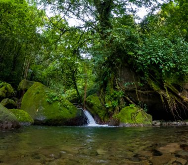 Nehirde temiz su akar, ormanın ortasında, etrafında güzel kayalar vardır..