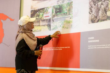 Asyalılar tarihi eser koleksiyonlarını görmek için müzeleri ziyaret ederler..