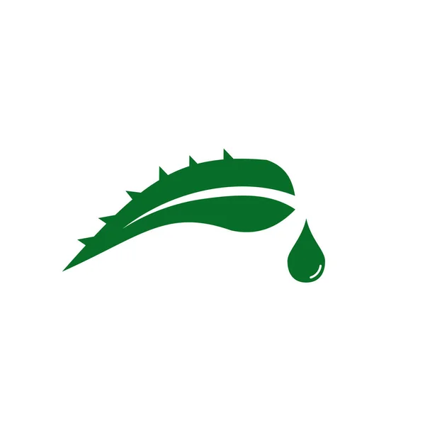 Aloe Vera Design Logo Vektorové Šablony — Stockový vektor