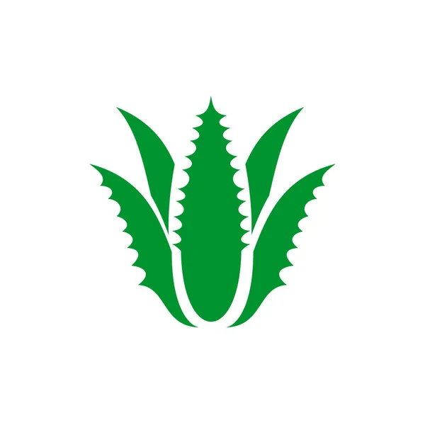 Aloe Vera Plant Logo Design Vector Template — Stock Vector